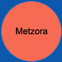 CircleMetzora