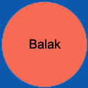 CircleBalak