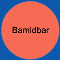 CircleBamidbar